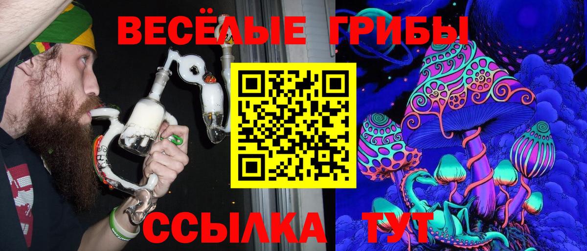 Чита  Псилоцибиновые грибы мицелий  Вход с VPN 