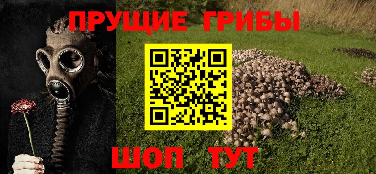 Галлюциногенные грибы мухоморы Чита